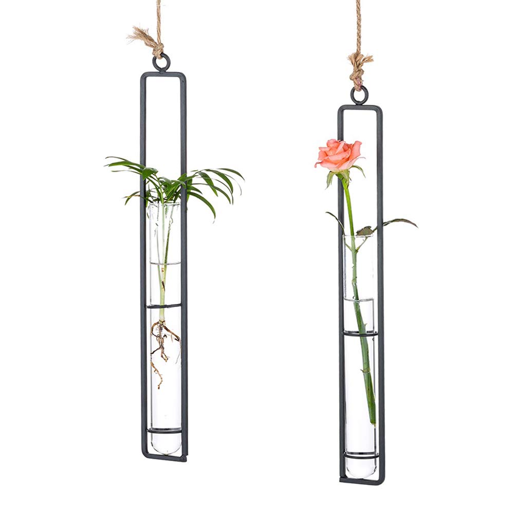 Sziqiqi Hanging Clear Glass Propagation Tube Vase for Cuttings, Hydroponic Plant Propagation Home Balcony Floral Container Wall Decoration Black 2ps (L+L)