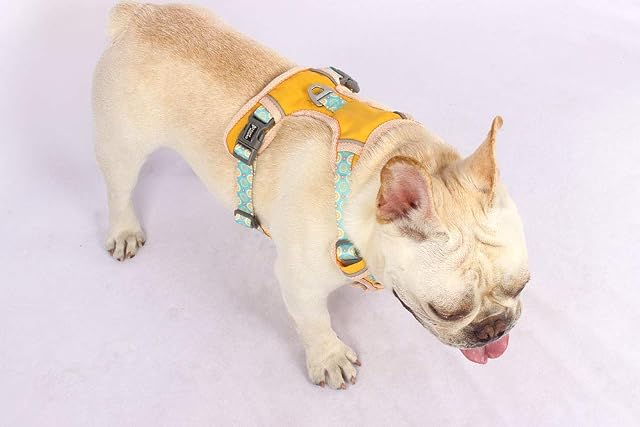 Foto 3 de 4 de Rhea Rose - Arnés para perro, suave, ajustable, con arnés reflectante, fácil control para perros pequeños…