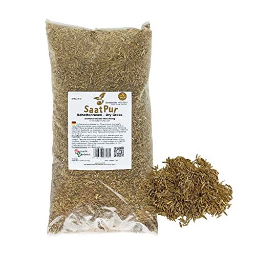 SaatPur® Rasensamen Schattenrasen Dürreresistent 1kg für ca. 30 m², Mehrjährige Rasemischung aus mehreren Rasenarten, meistens 4 bis 5, satt grün, schnellkeimend, hitzetolerant, Neusaat und Nachsaat