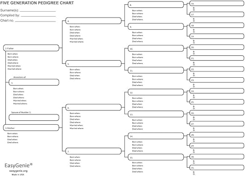 Miniatura 6 de EASYGENIE Kit de historias de genealogía hojas de trabajo, gráficos y formularios para preservar la historia familiar y los ascendentes (30 hojas)