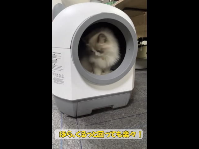 Amazon | Kotirapett 猫 自動トイレ 定期清掃 掃除簡単，静音 消臭機能