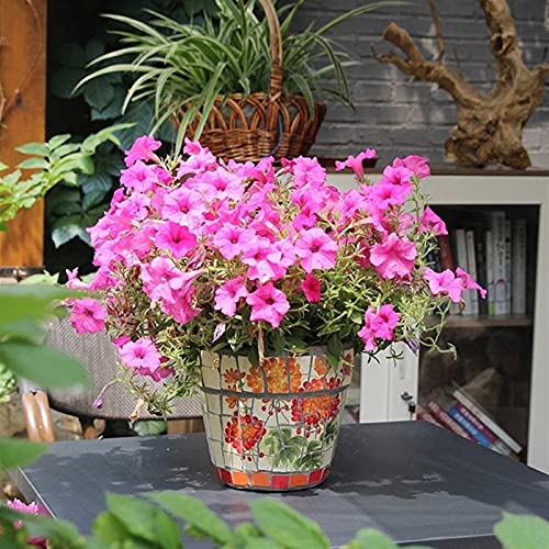 Grand pot de fleur en céramique décor de jardin pour allée de villa et couloir extérieur