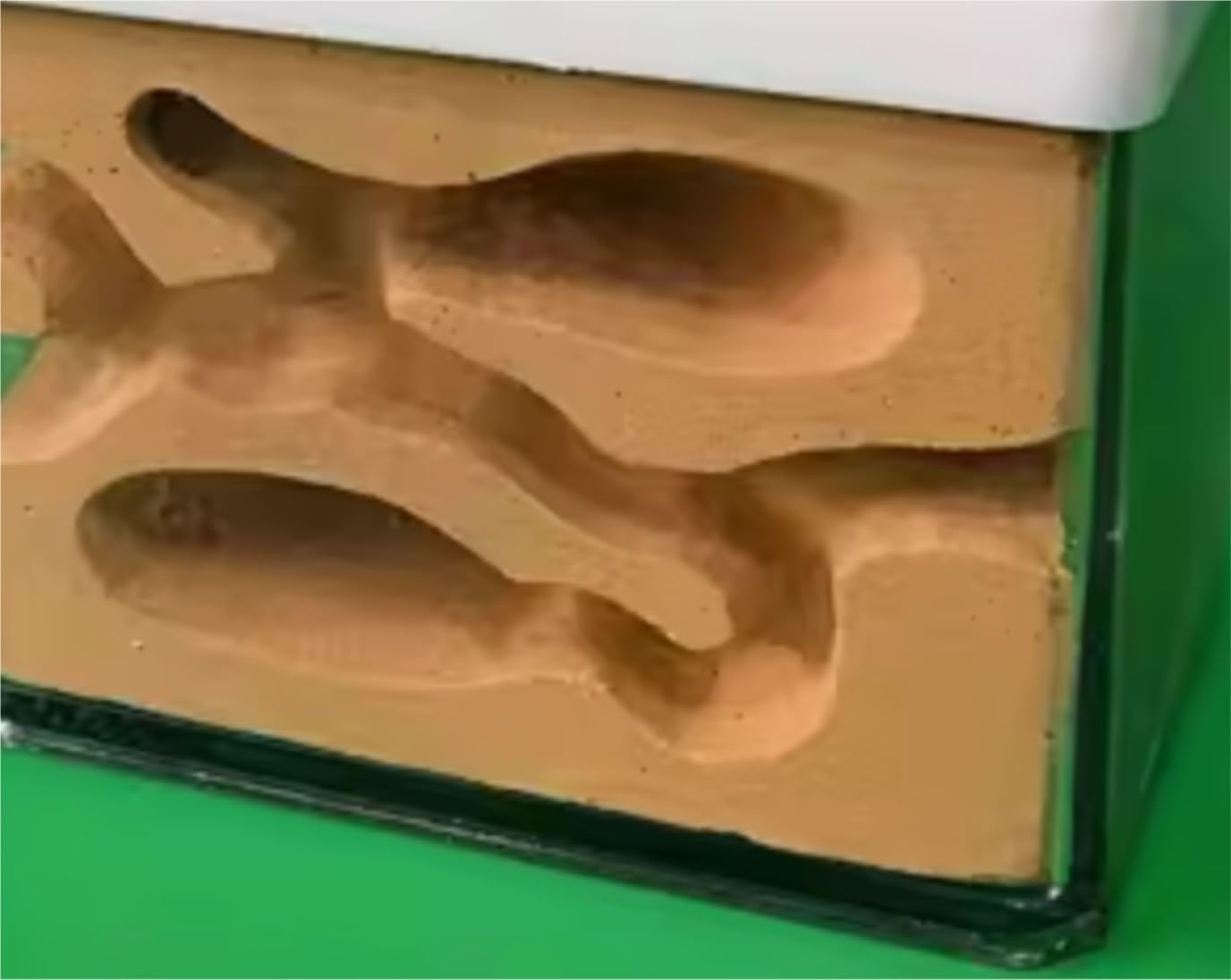 Gypsum Ant Castle