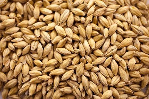 Gambrinus ESB Pale Malt - 1 LB, Uncrushed