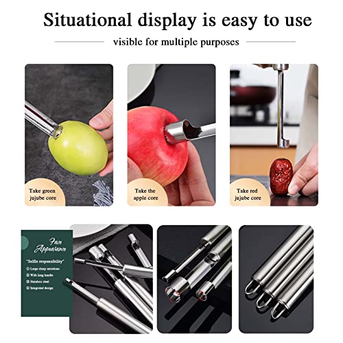 5P roestvrijstalen appelsnijder, roestvrijstalen kern voor appels of peren, roestvrijstalen appelsnijder, professionele roestvrijstalen sapcentrifuge, fruitgroente keukengadgets - Image 6