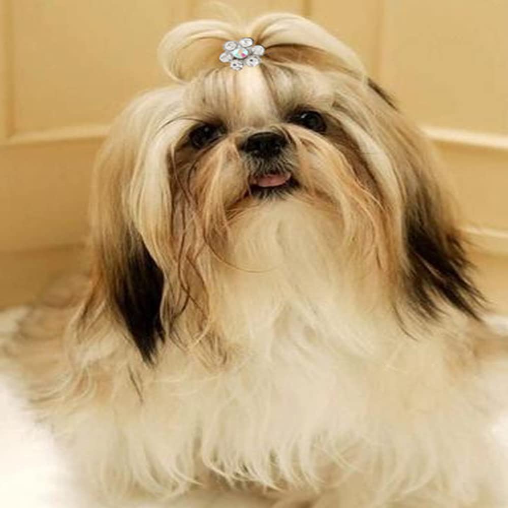 RayMinsino 4Pcs Diamond Fashion Dog Plum Flower Princess Hair Clip, pet Hair Accessories, cat and Dog Accessories, Suitable for Long-haired Dogs