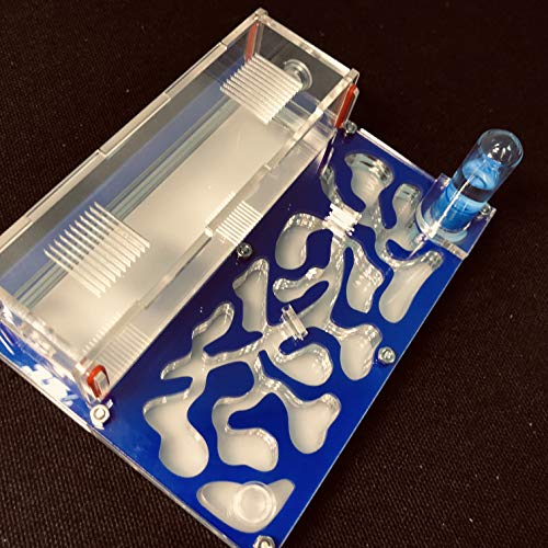 ANT 150mmx110mm Test Tube Moisture Big Space Nest Farm Acrylic, Insect Villa House Ecological Workshop (Blue) - Image 3
