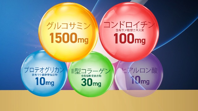 ６袋【大容量】６００粒！グルコサミン コンドロイチン プロテオグリカン 業務用600粒 グルコサミン＆コンドロイチン+プロテオグリカン配合