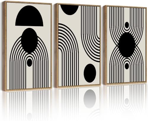 Amazon.com: Drsoum Black and White Abstract Framed Wall Art Decor ...