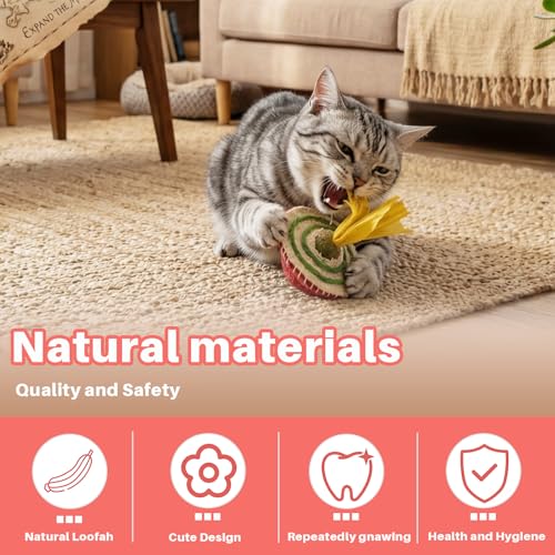 Jouet d'enrichissement durable pour chat Walfront en matériaux haute résistance