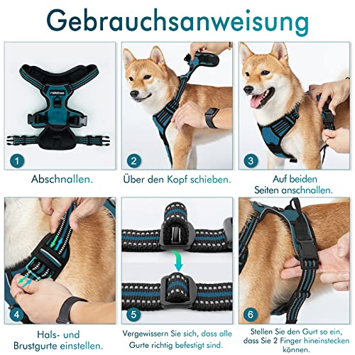 rabbitgoo Hundegeschirr Mittelgroße Hunde, Anti Zug Geschirr mit Kontrolle, No Pull Verstellbar Hundegeschirr Grosse Hunde, Atmungsaktiv Reflexstreifen Brustgeschirr Sichere Führung Dunkelgrün M