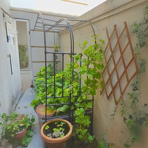 Metalowy łuk altanowy – kratka z czarną różą do roślin pnących, pergola o szerokości 3 m, idealna na podwórko, patio, trawnik i dziedziniec, różne wysokości, 0,6 m - 3,0 m.