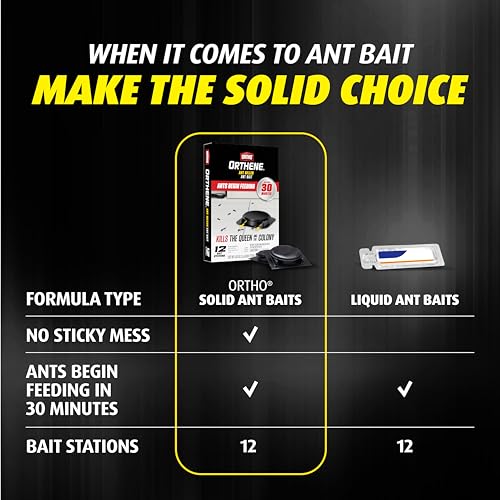 Image of Ortho Orthene Ant Bait - Indoor Ant Killer, Kills the Queen and the Colony, 12 Bait Stations