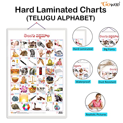 Image of Set of 2 Baarahkhadee and Telugu Alphabet (Telugu) Early Learning Educational Charts for Kids | 20 inchX30 inch inch |Non-Tearable and Waterproof | Double Sided Laminated | Perfect for Homeschooling, Kindergarten and Nursery Students
