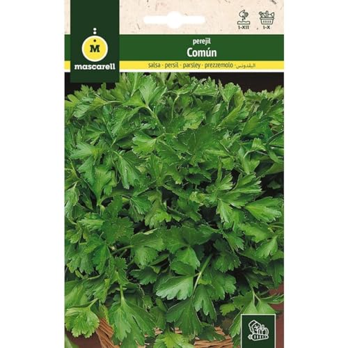 Mascarell Semillas, PEREJIL, Semillas Huerto, PEREJIL COMÚN, Crea tu Propio Huerto Urbano y Cultivo en Casa, Planta tus Plantas Naturales Hortícolas, 15 Gramos
