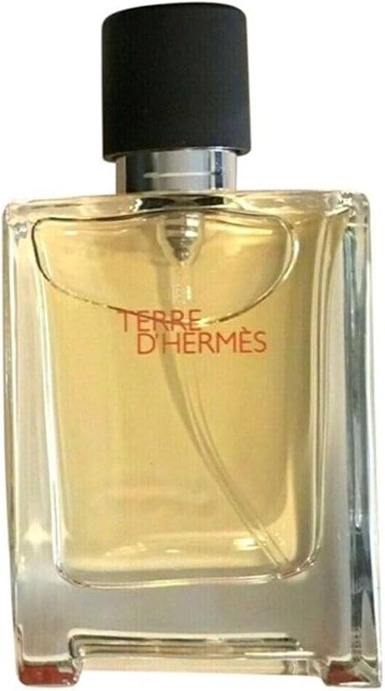 Amazon.com : Hermes Terre D'hermes Eau De Toilette Spray for