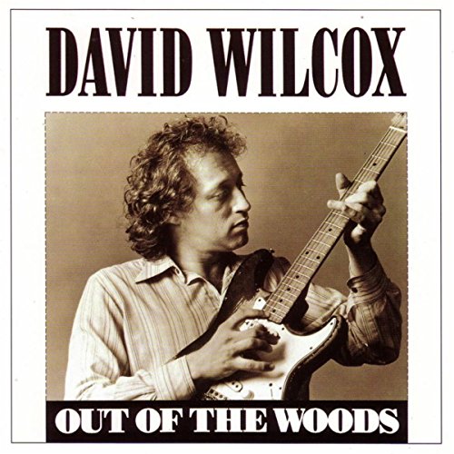 David Wilcox