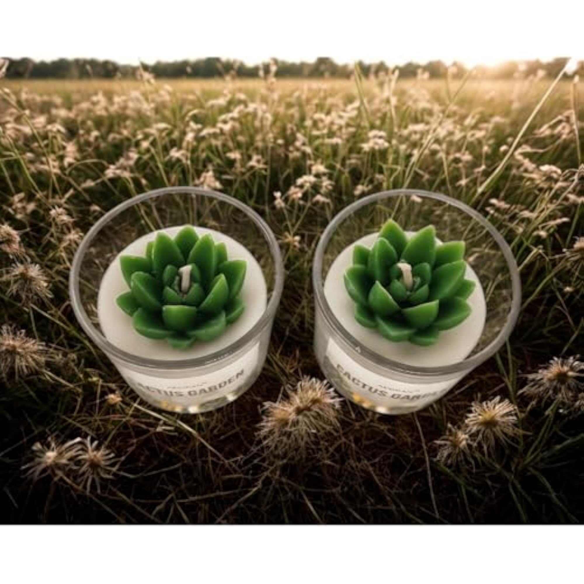 Aegean Cactus Garden Candle