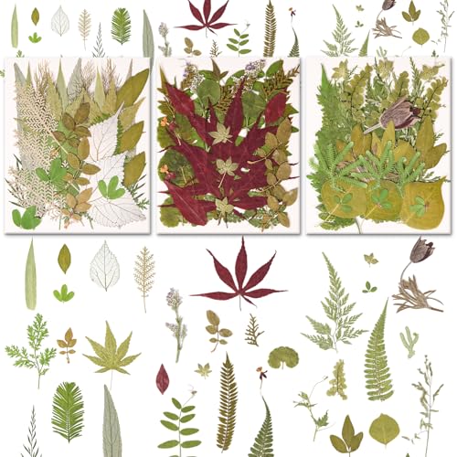 Image of 100 PCS Real Pressed Dried Leaves with Tweezers | Natural Dried Flowers, For Resin, Candle, Jewelry, Scrapbooking & DIY Crafts, Leaves 100