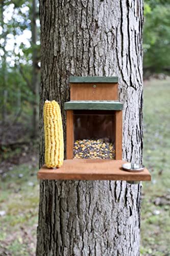Uncle Dunkels Ultimate Squirrel Munch Box Feeder With Multiple Feeding Stations - Corn Holder Nail For Corn On The Cob With Tray And Water Cup - Handcrafted, Solid Pine, Made In The Usa #TOP3