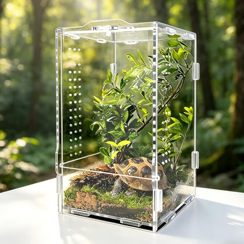 MaciRept Jumping Spider Enclosure 12×12×20cm Reptile tank Acrylic Terrarium Habitat for Snail Tarantula Bearded Dragon Jumping Spider Stick Insect
