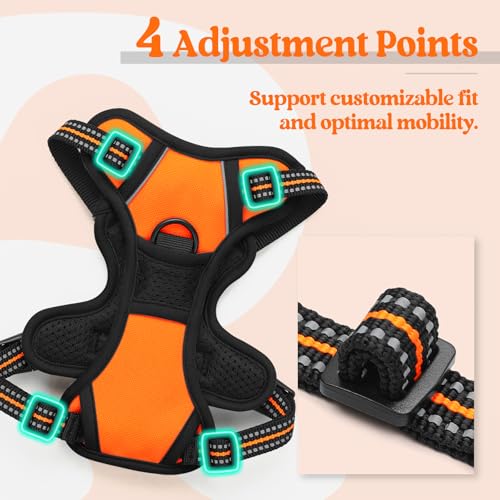 Image of rabbitgoo Dog Harness No Pull with 2 Leash Clips, Adjustable Soft Padded, Reflective Oxford No Choke Pet Vest with Easy Control Handle for Puppy, Orange,XS
