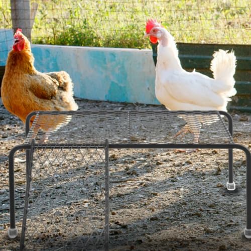 Plataforma de hierro negro para pollos con escalera 7