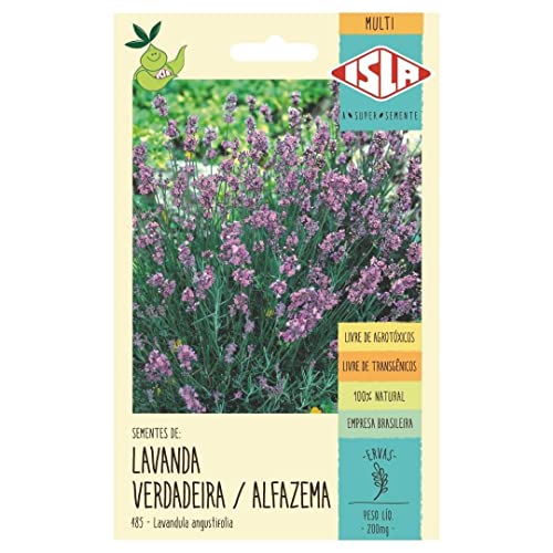 Kit Semente de Flores - Lavanda + Margarida + Onze Horas