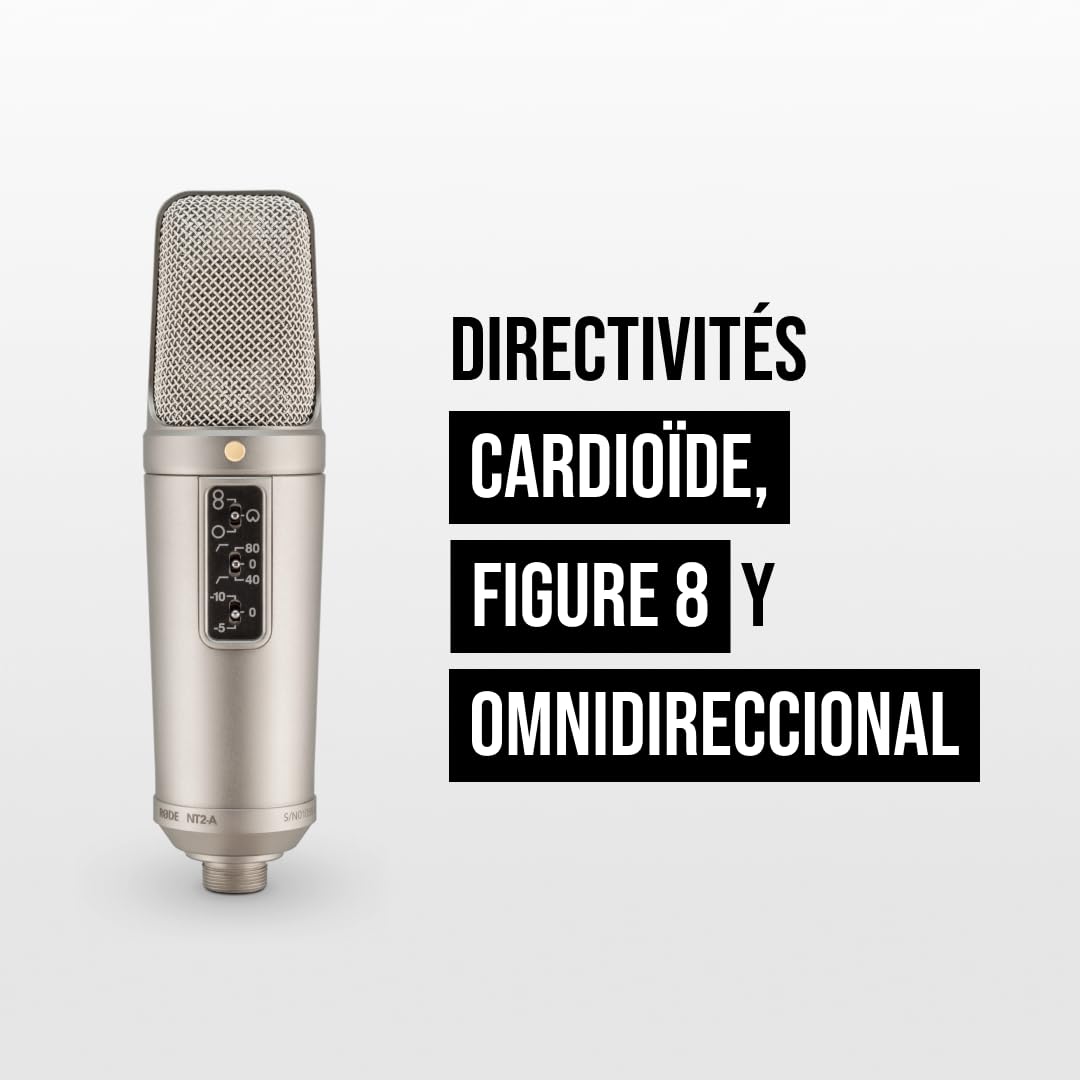 RØDE NT2-A Microphone à condensateur à large membrane polyvalent avec motif polaire commutable, pad et filtre passe-haut pour enregistrement vocal et instrumental