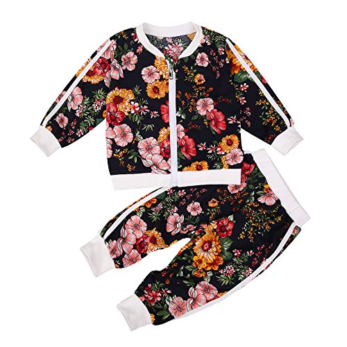 Toddler Kids Baby Girls 2PCS Set Hoodie Sweatshirt Top + Floral Pants Outfit Fall Winter Clothes (A, 2-3T)