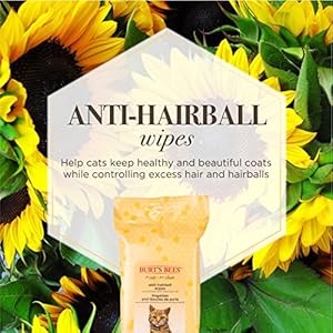 Burts Bees for Pets Antihairball Cat Wipes  Grooming Cat Wipes for Hairball Control  Cruelty Free Formulated Without Sulfates and Parabens Ph Balanced for Cats  Made in the Usa 50 Ct  Cucciolini Doodles Burts bees for pets anti hairball cat wipes  grooming cat wipes for hairball control  cruelty free formulated without sulfates and parabens ph balanced for cats  made in the usa 50 ct   cucciolini doodles