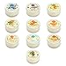 Pet House Mini Candle Sampler - 10 Pack of Top-selling Fragrances - Odor Neutralizing - 100% Natural SOY WAX - - 10-12 Hour Burn Time - Made in the USA - Amazing animal lover gift