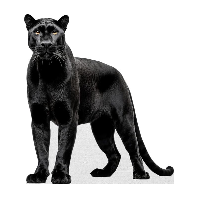 Amazon.com: Black Panther - Life Size Cardboard Cutout Standup