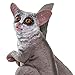Safari Ltd. Bush Baby (Galagos) Figurine - Detailed 3.5