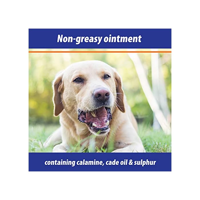 Exmarid Ointment for Dogs - Itchy Dog Skin Relief, Helps Soothe Itchy and Dry Skin Irritation, Cleanses and Disinfects (100g) - Image 7