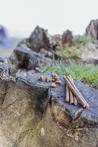 TRIXIE Hundeleckerli Insekten Snack Sticks mit Mehlwürmern 80g – Glutenfreie premium Leckerlis für Hunde - ohne Getreide & Zucker, schmackhafte Belohnung für Training & zuhause - 31659