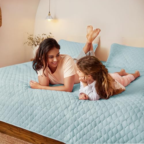Exclusivo Mezcla Reversible Full Queen Quilt Bedding Set with Pillow Shams, Lightweight Quilts Queen Size, Soft Bedspreads Bed Coverlets for All Seasons - (Light Blue, 90"x96")