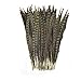 KOLIGHT Set of 10pcs Natural Dyed Pheasant Tails Feathers 12-14 Inch DIY Decoration (Natural)