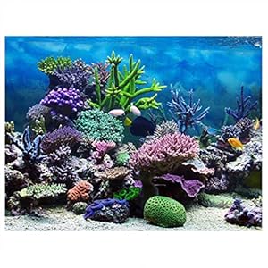 Joyzan Aquarium Unterwasserwelt Hintergrund Poster (122 * 61cm)