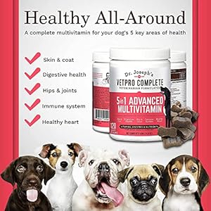 Vetpro Dog Vitamins and Supplement Soft Chews with Probiotics 120 Count 5 in 1 Chewable Multivitamin for Puppy to Senior with Glucosamine for Hip and Joint Health Immune System and Allergy Support Cucciolini Doodles Vetpro dog vitamins and supplement soft chews with probiotics 120 count 5 in 1 chewable multivitamin for puppy to senior with glucosamine for hip and joint health immune system and allergy support cucciolini doodles