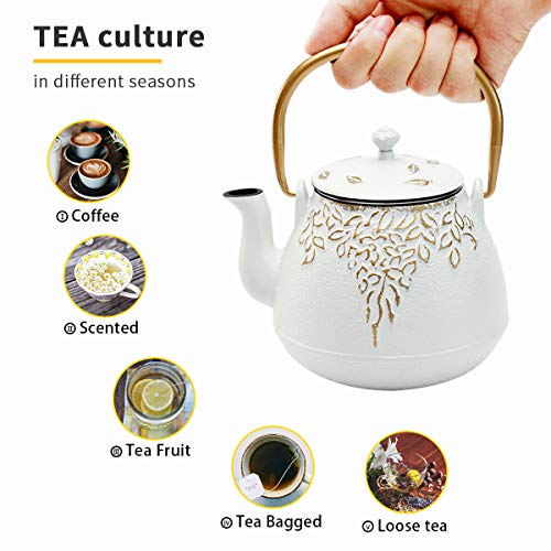 Tea Kettle, TOPTIER Japanese Cast Iron Teapot with Infuser for Loose Leaf and Tea Bags, Stovetop Safe Cast Iron Tea Kettle Coated with Enameled Interior for 40 oz (1200 ml), White