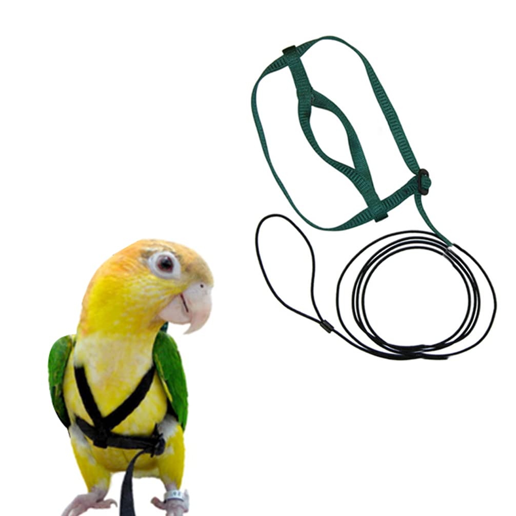 Western Era Bird Harness With Lease Strong, Durable, Elastic Nylon, Adjustable for provide exercise, training, IQ, motor skills for Amazons, Timneh Greys, Yellow Collar Macaw, Small Cockatoos, Large Parakeets, Chattering Lorikeets & All Pionus (Rando (B0B3TLFM8F) Amazon Price History, Amazon Price Tracker