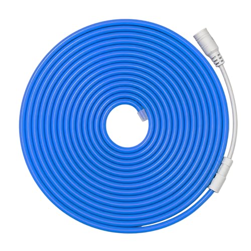 JANDEI - Striscia LED neon flessibile 12V, 5 m 6x12 mm 120 LED/metro. Colore blu. Taglio 2,5 cm. Decorazione interni ed esterni, casa, attività commerciali, insegne... Trasformatore non incluso