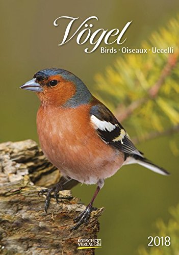 Vögel 2018 Vögel 2018