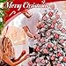 24 Pcs Christmas Ball Ornaments 2.36 Inches Red and White Christmas Tree Decoration Ornaments Glitter Plastic Stripe Dot Snowflake Hanging Ball Decorations for Home Indoor Outdoor