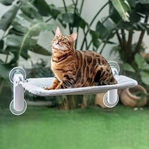 GUUSII HOME Hamac Chat Fenetre Pliable Panier Transat Suspendu Grande Chats Ventouse Support Perchoir Coussin Interieur Etagere Chaise Lit pour Maine Coon Facile À Monter 54 * 30cm (Gris Clair, M)