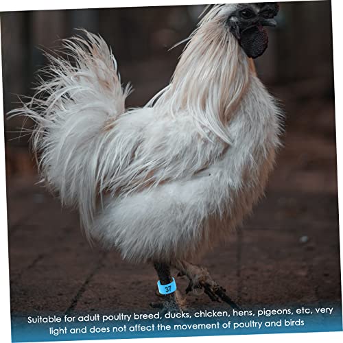 POPETPOP 300 Pçs Tornozeleira De Pombo Etiquetas Para Animais De Estimação Etiquetas De Plástico Fai