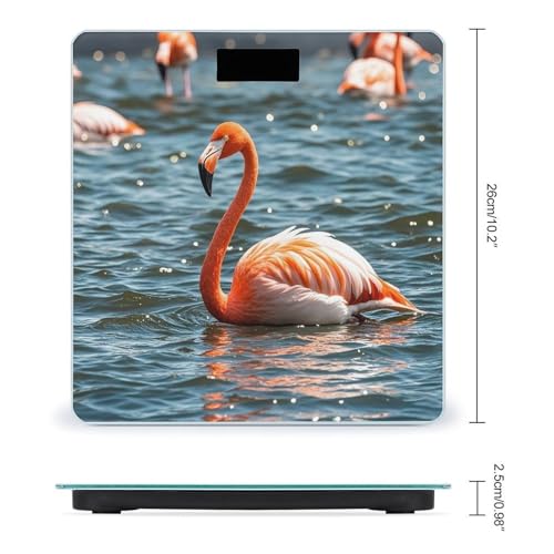 Báscula Digital de Baño FekiLoot con Plataforma Amplia miniatura 2