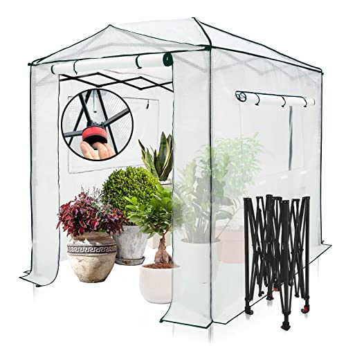 EAGLE PEAK 8x6 Portable Walk in Greenhouse Pop Up Indoor Outdoor Greenhouse Green House Kit with Zippered Roll-Up Doors and Windows PE Cover Clear/White