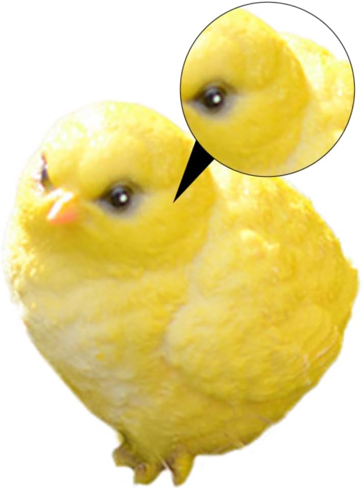 BESPORTBLE 6pcs Unique Resin Chick Figurines Delicate Poultry Animal Models for Courtyard Decor Lifelike Adornments for Spaces